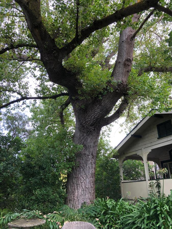 Lorelei Bed & Breakfast Portland Dış mekan fotoğraf